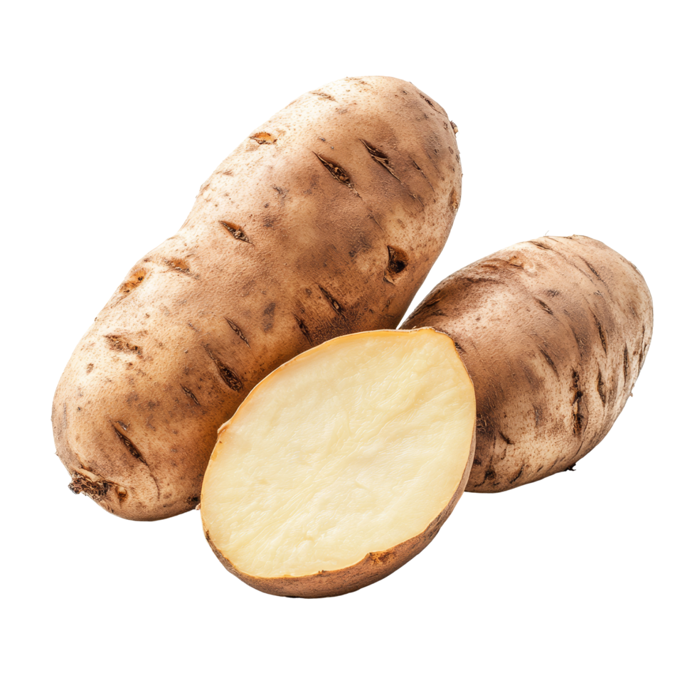 Fresh yam potato isolated on a bright transparent background showcasing natural texture and color, yam potato isolated on transparent background png