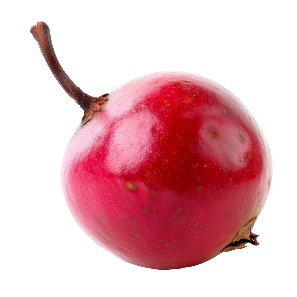Ripe rose apple isolated on a clean transparent background showcasing its vibrant color and smooth texture, ripe roseapple isolated on transparent background png