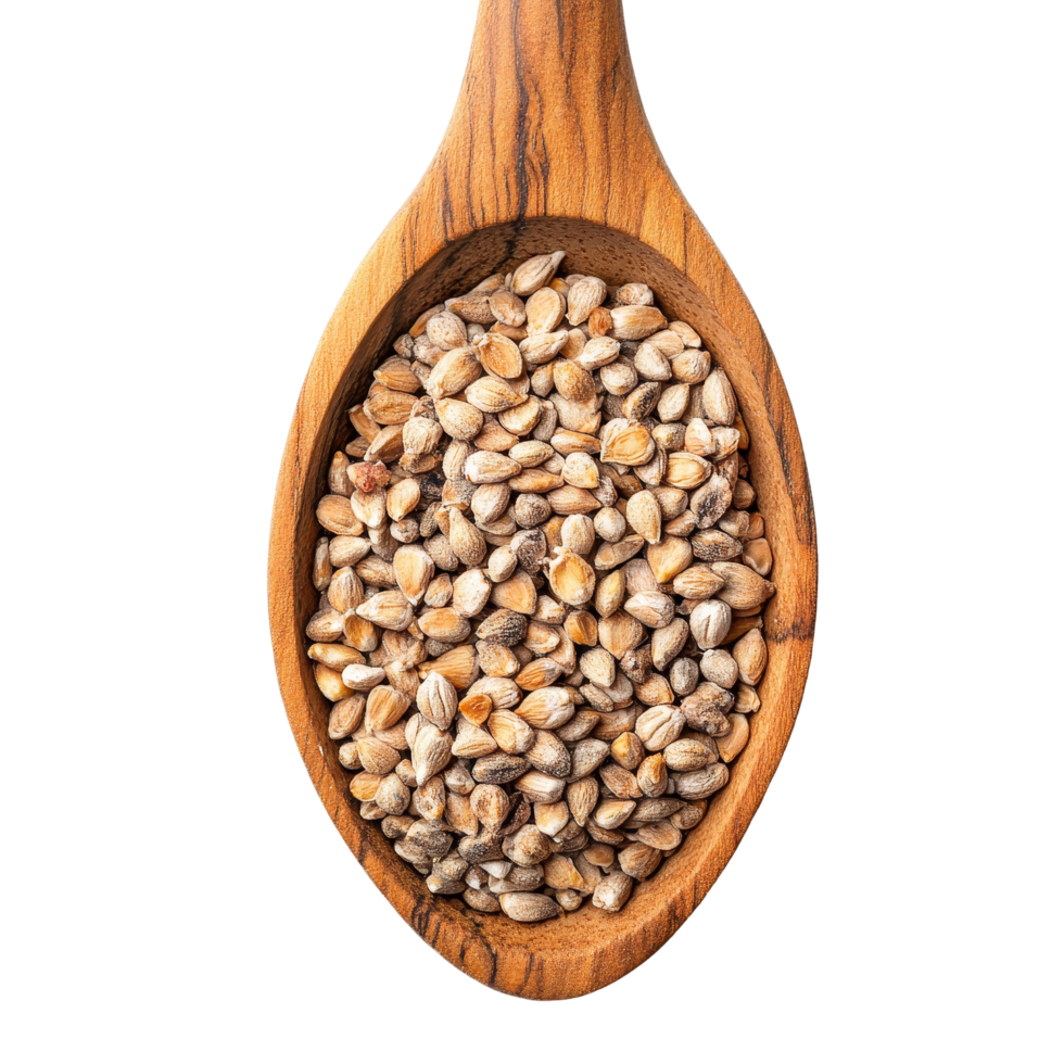 Buckwheat seeds in a wooden spoon isolated on a transparent background showcasing natural textures, Buckwheat in wood spoon isolated on transparent background png