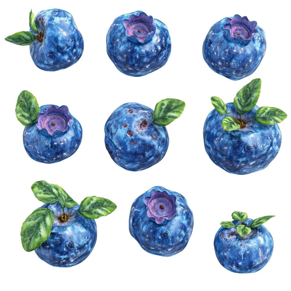 Fresh blueberries with green leaves isolated on a transparent background for culinary uses, blueberries isolated on transparent background png