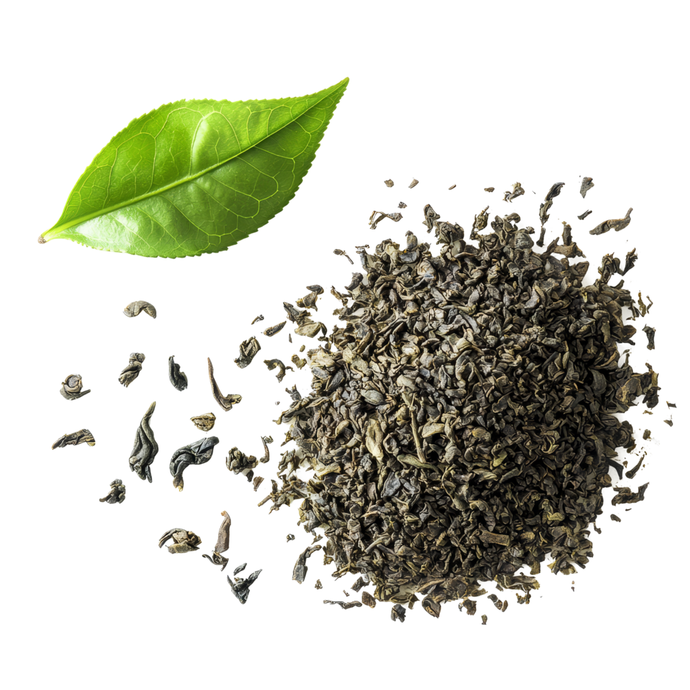 Dry green tea leaves and fresh tea leaf isolated on a plain transparent background showcasing natural tea elements, tea leaf and dry green tea isolated on transparent background png