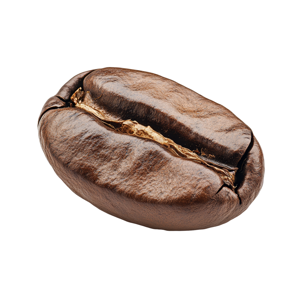 A single coffee bean isolated on a transparent background showcasing its distinct texture and shape, coffee bean isolated on transparent background png