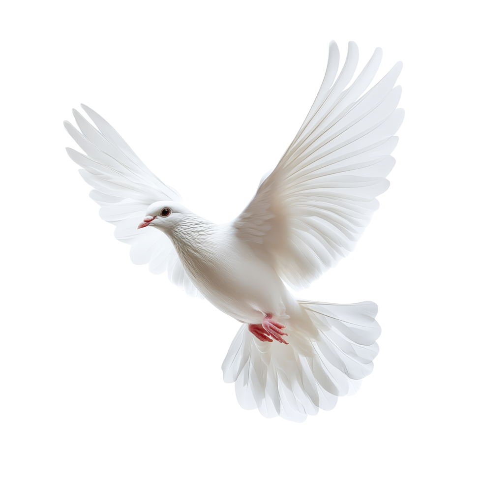 A graceful transparent dove soaring through the air against a pure transparent background, transparent dove flying in the air,isolated transparent background png