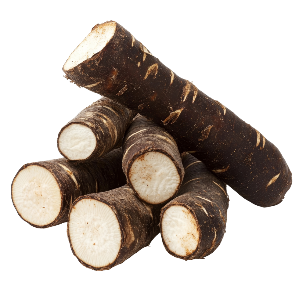 Fresh cassava root tubers isolated on a transparent background, showcasing their natural texture and color for culinary use or agricultural study, Cassava isolated on transparent background png