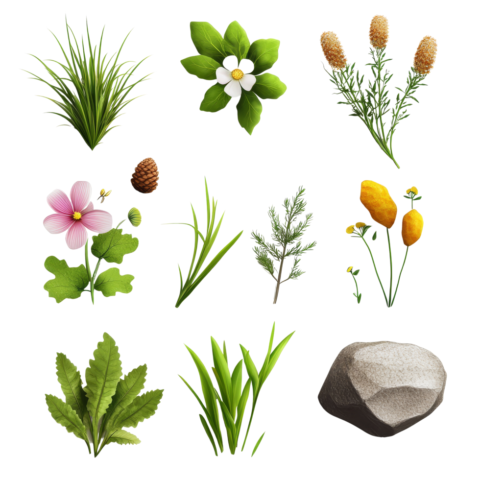 Exploring the beauty of diverse nature items isolated against a transparent background, Beautiful nature items isolated on transparent background or transparent backgroud png