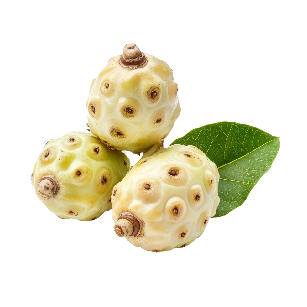Fresh noni fruit displayed on a transparent background highlighting its unique texture and color, Noni isolated on transparent background png
