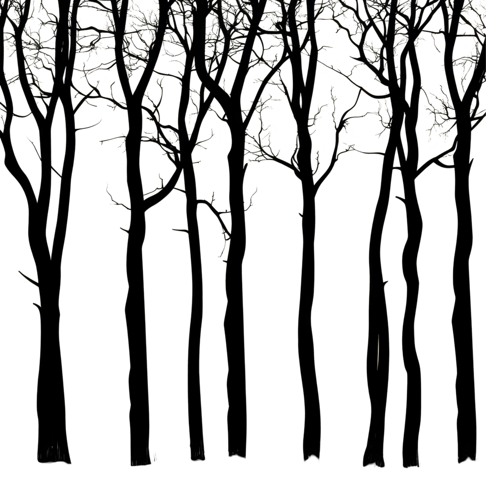 Silhouettes of bare trees against a pale backdrop at dusk, creating a stark and tranquil landscape, trees silhouettes png