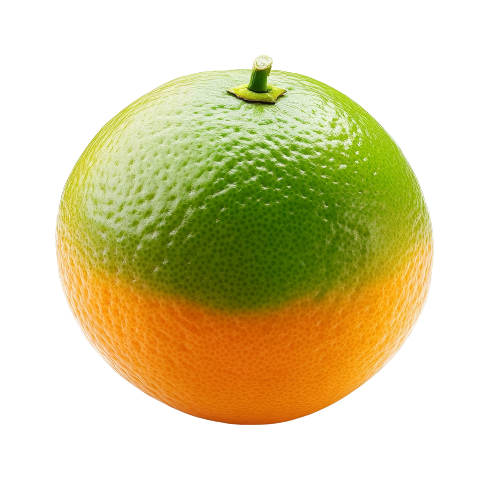 Brightly colored green and orange fruit isolated against a clean transparent background, green orange isolated on transparent background png