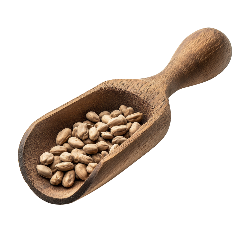 Wooden scoop filled with jobs tears grains on a transparent background showcasing natural textures and earthy colors, jobs tears in wood scoop isolated on transparent background png