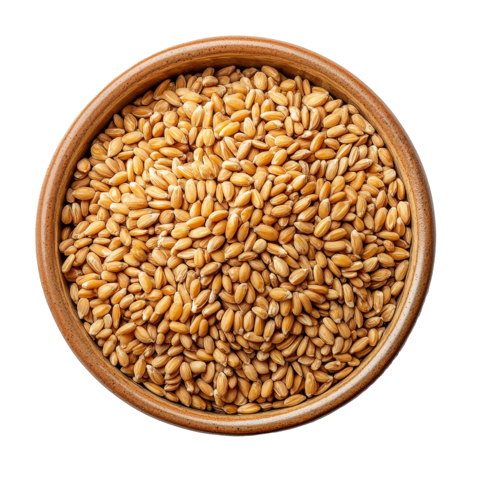 A bowl of wheat germ on a transparent background showcasing its nutritious and wholesome appearance, Wheat germ in a bowl on transparent background png