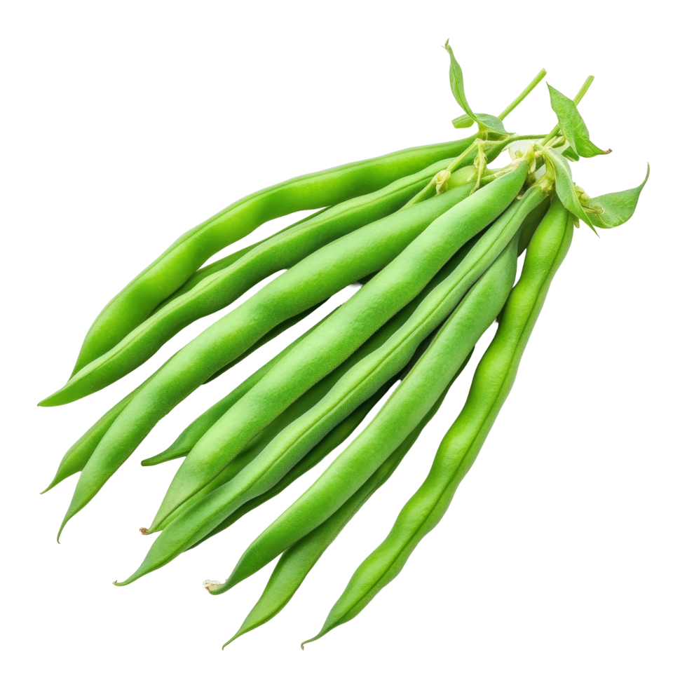 Green bean seeds displayed on a clean transparent background highlighting their vibrant color and natural shape, Green beans seeds isolated on transparent background png