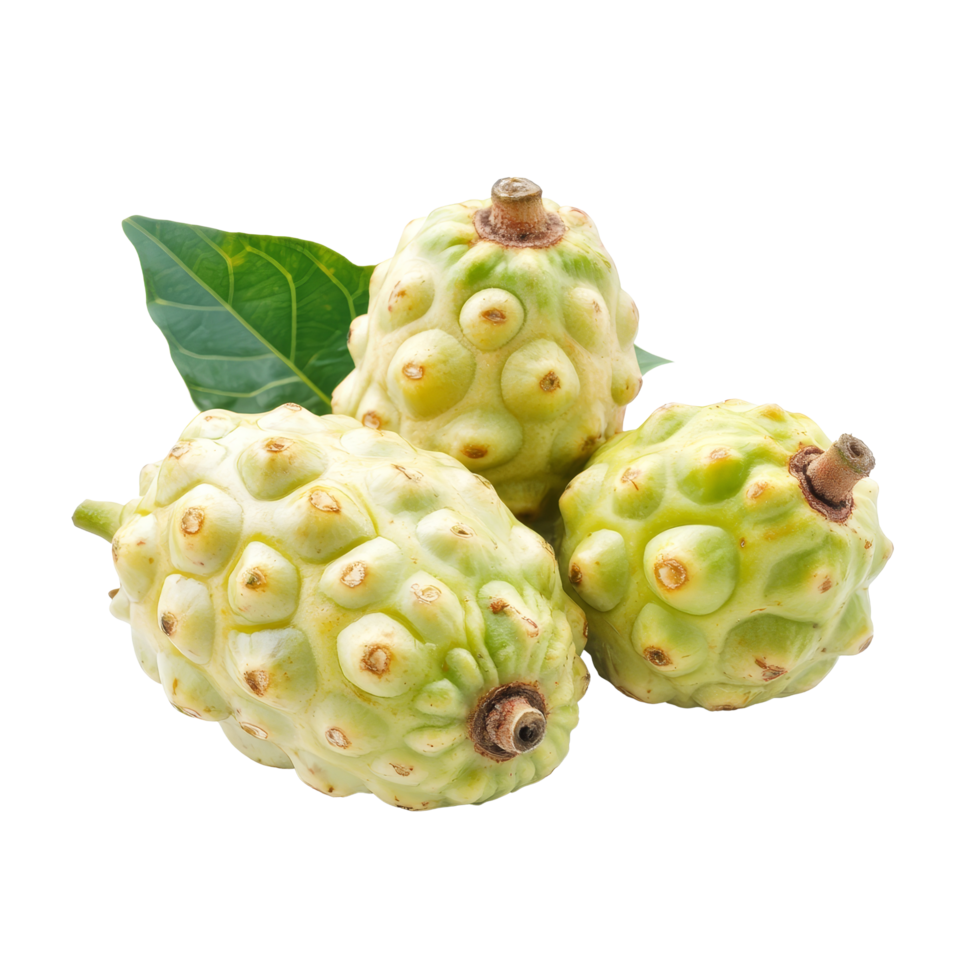 Noni fruit displayed on a transparent background showcasing its unique texture and distinct shape, Noni fruit on transparent background background png
