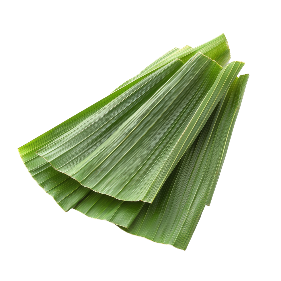 Freshly sliced pandan leaves arranged separately on a clean transparent background for culinary use and decoration, slice pandan leaf isolated on transparent background png