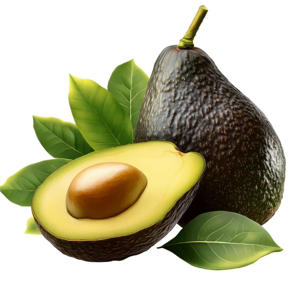 Fresh avocado surrounded by green leaves on a transparent transparent background, Avocado isolated on trransparent png