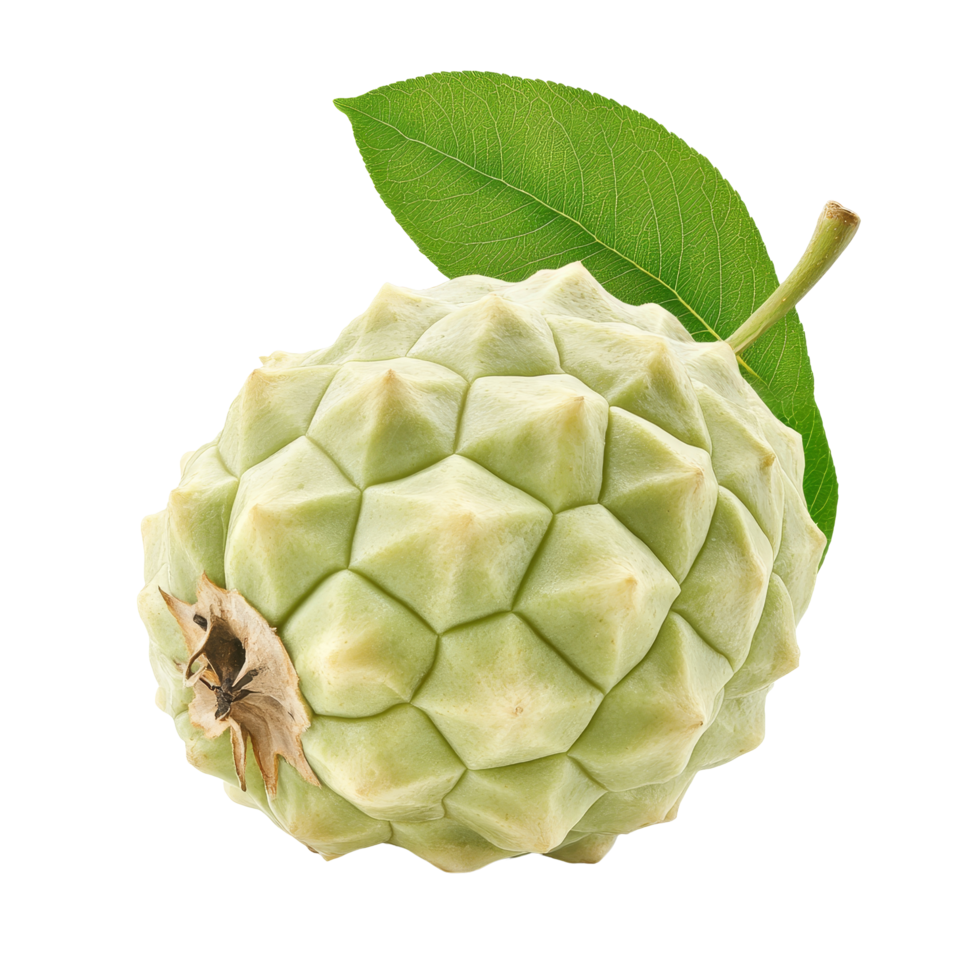 Fresh custard apple with leaf isolated on a clean transparent background highlighting its unique texture and color, Fresh custard apple with leaf isolated on transparent backgroundfile png