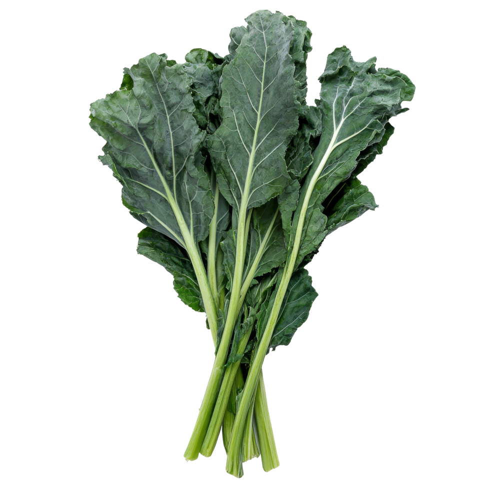 Fresh Chinese kale vegetables arranged on a clean transparent background showcasing their vibrant green leaves, Chinese kale vegetable isolated on transparent background png