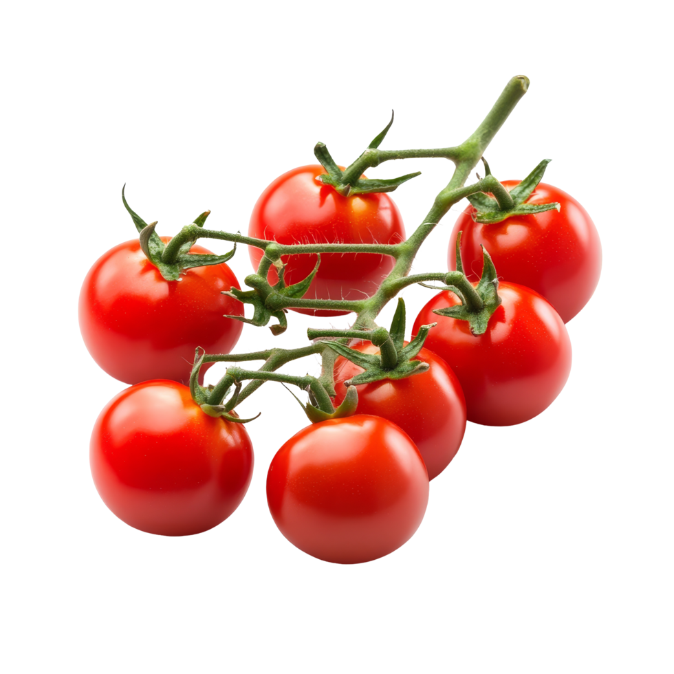 Fresh cherry tomatoes on a vine displayed against a bright transparent background for food presentation or culinary use, Fresh cherry tomatoes isolated on transparent background png