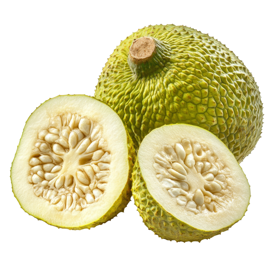 Fresh breadfruit isolated with cut halves showcasing texture on transparent background in natural light, Breadfruit isolated on transparent background png