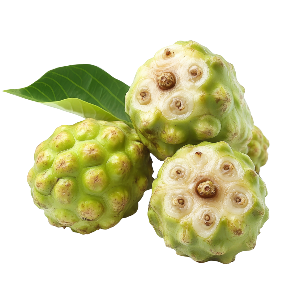 Fresh noni fruits arranged on a transparent background highlighting their unique texture and color, Noni fruits on transparent background png
