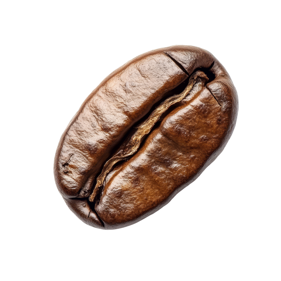 Single roasted coffee bean isolated on transparent background, highlighting its rich texture and color for coffee enthusiasts, single roasted coffee bean isolated on transparent transparent background png