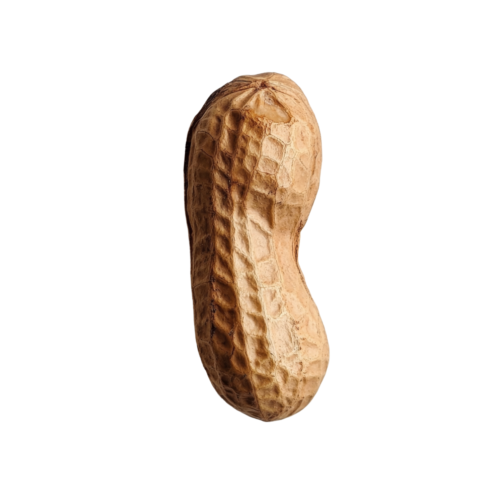 A single peanut displayed against a clean transparent background highlighting its natural texture and color, Peanut on transparent background png