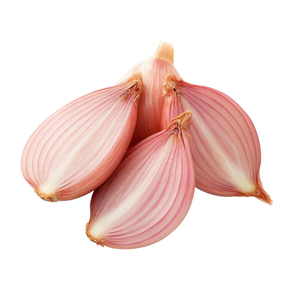 Freshly sliced shallots on a clean transparent background showcasing their delicate layers and rich color, shallots slice isolated on transparent background png