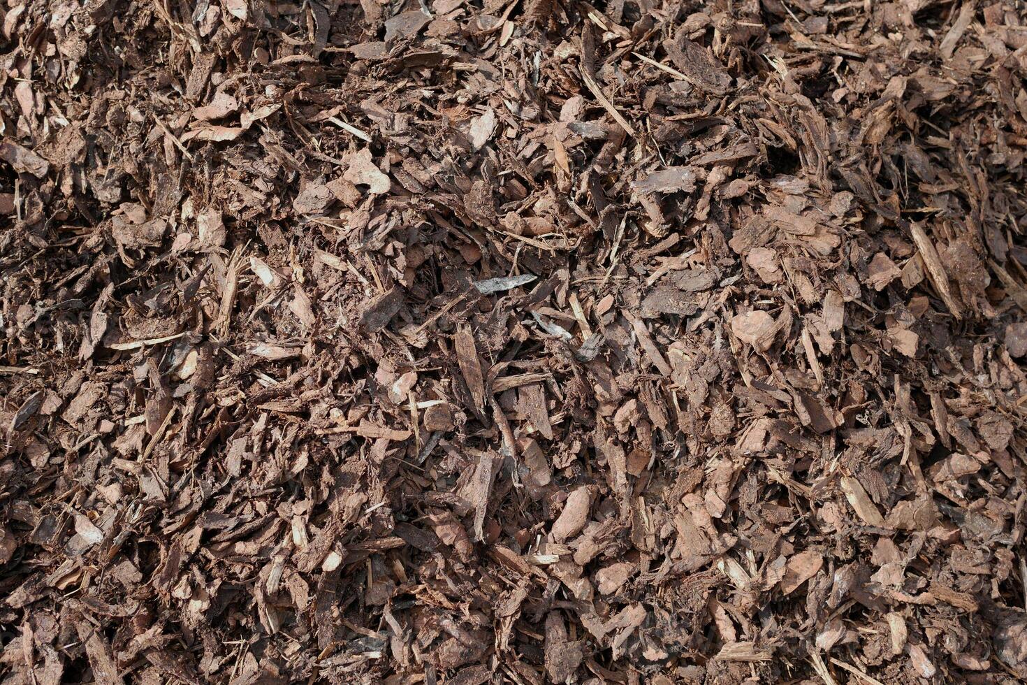 Bark mulch background texture close up. Natural fertilizer made of plant humus for soil enrichment photo