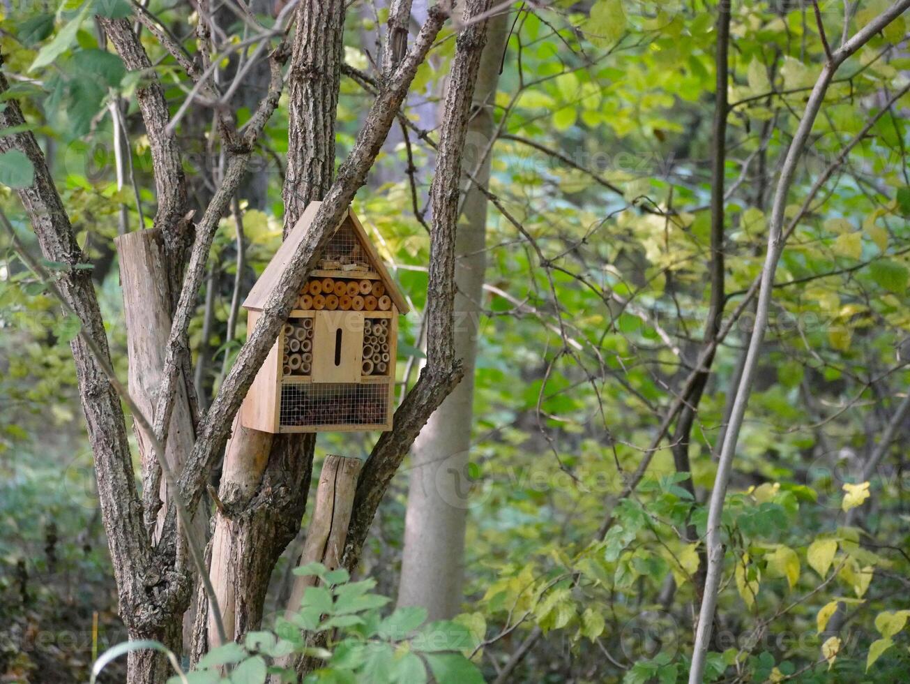 An insect hotel, bug house, created to protect insects and provide them a shelter. Vienna, Potzleinsdorfer Schlosspark photo