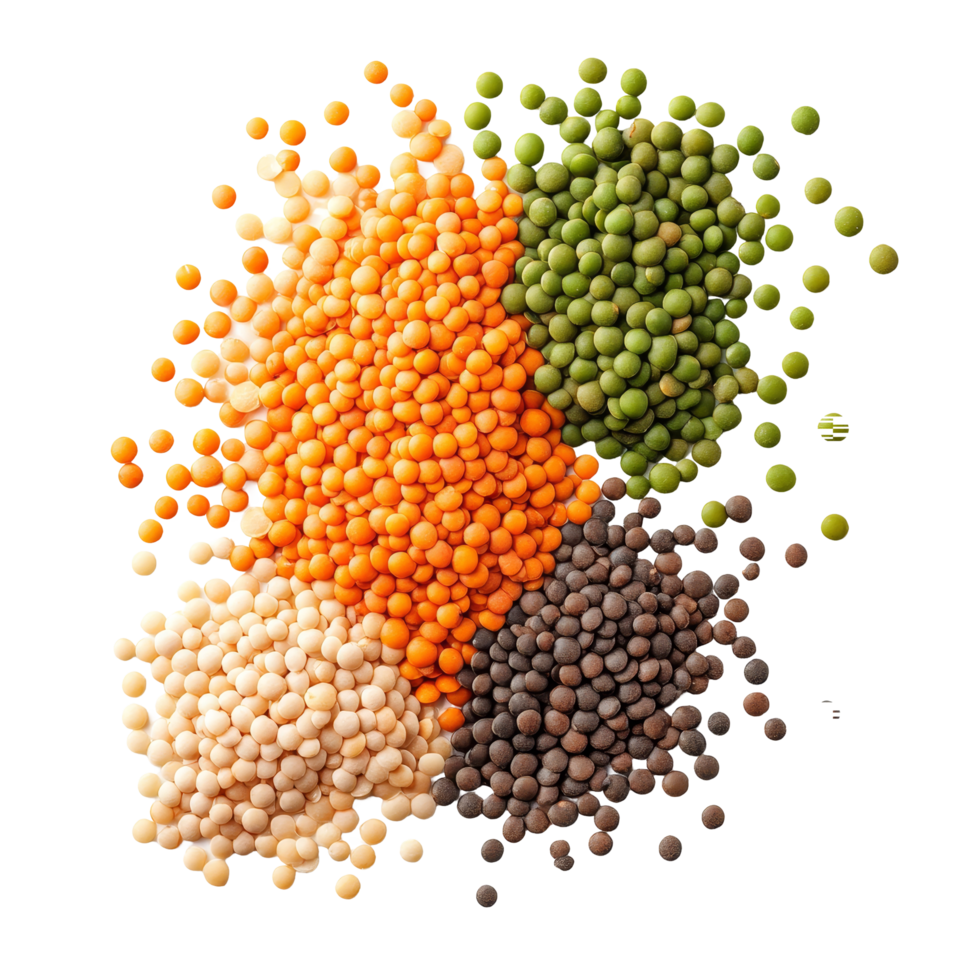 Various types of lentils arranged on a transparent background showcasing their diverse colors and textures, Lentils isolated on transparent background png