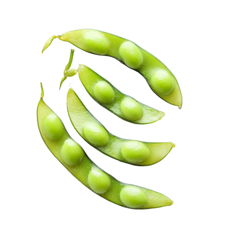Fresh green edamame beans arranged on a clean transparent background for an appetizing display of healthy snacks, Edamame beans isolated on transparent background png