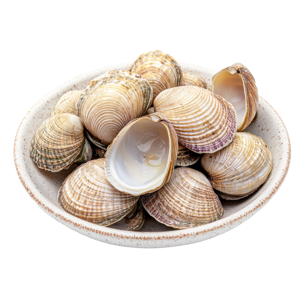 Freshly harvested cockles displayed in a plate against a clean transparent background in a kitchen setting, fresh cockles in plate on transparent background png