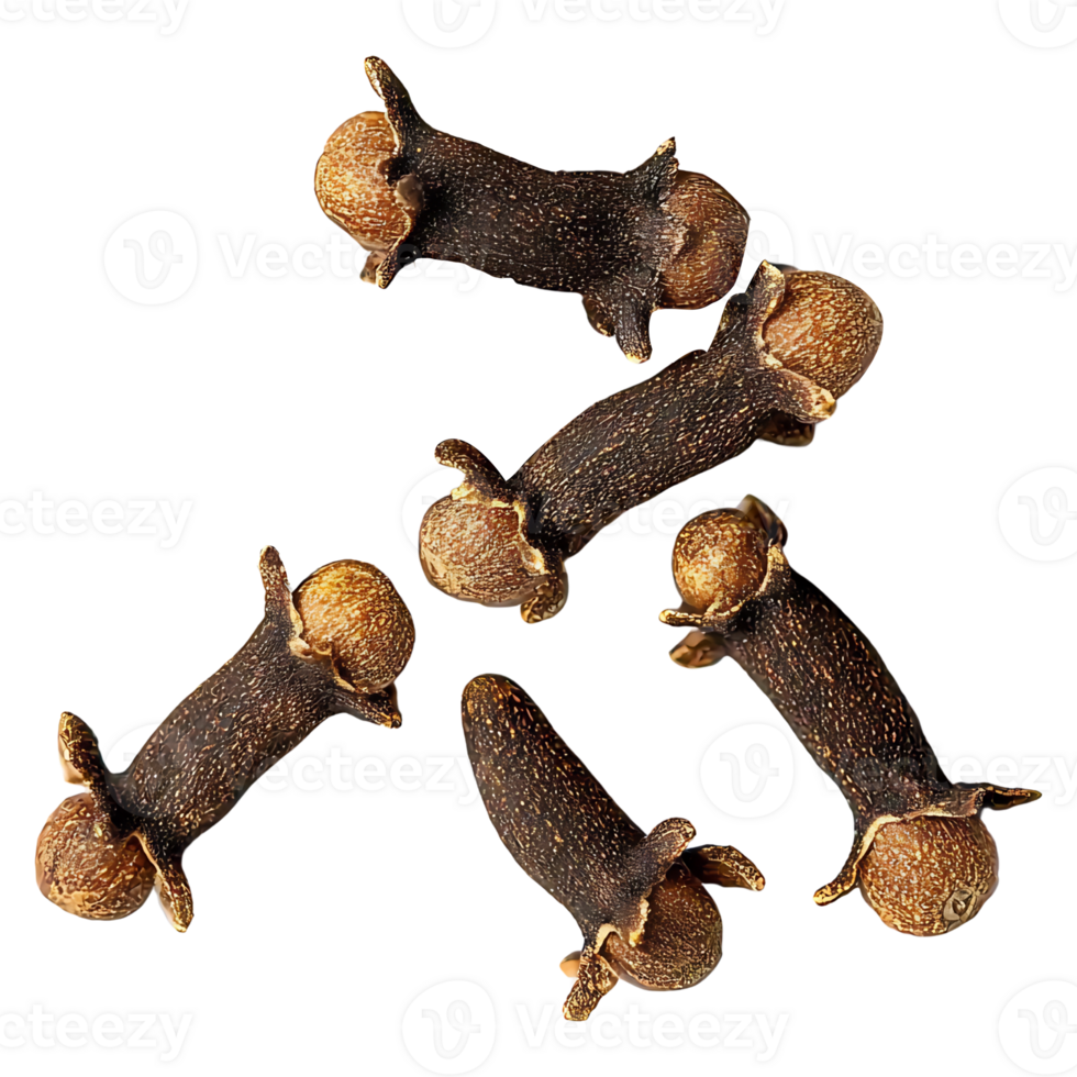 clove spice isolated on transparent background. png
