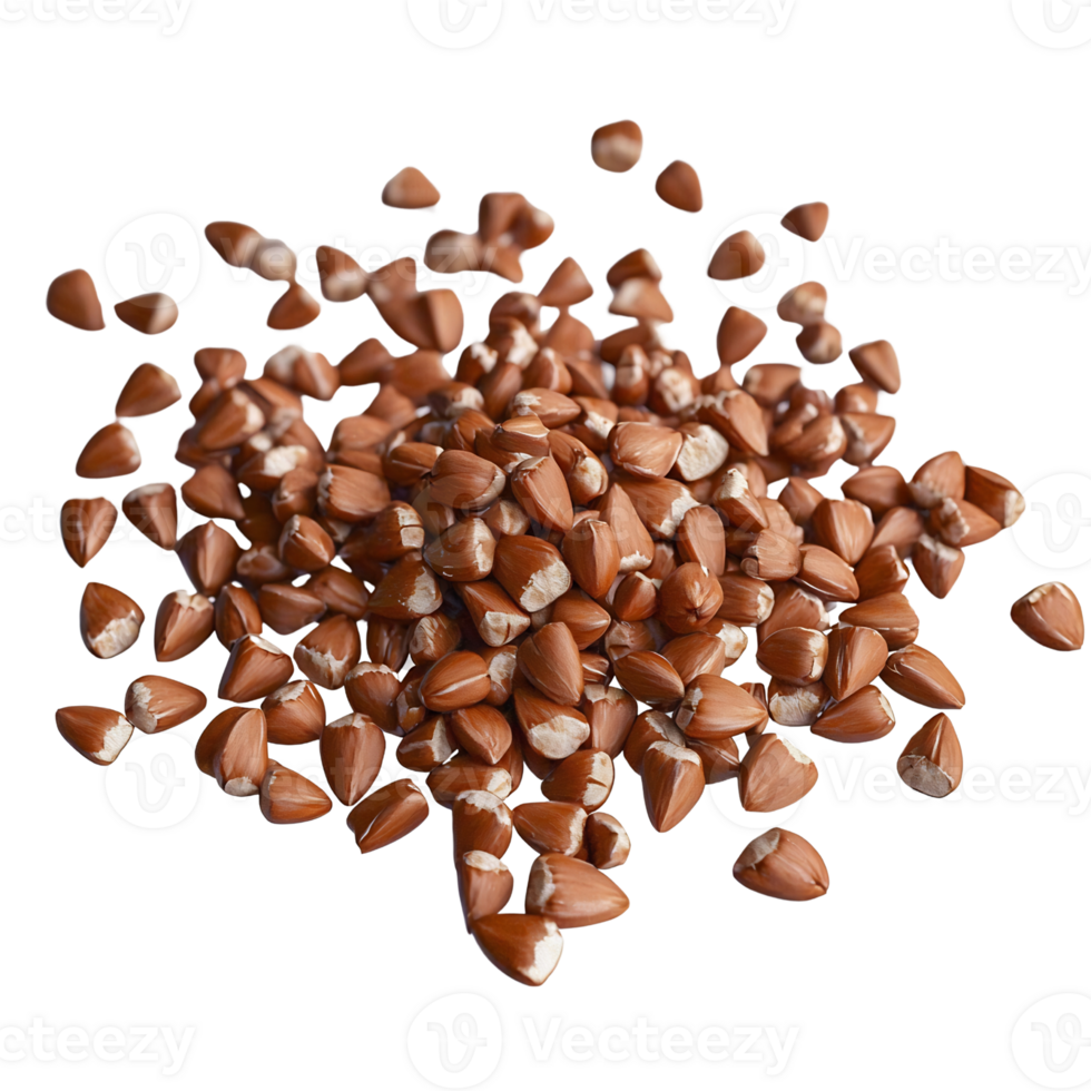 buckwheat grains pile on transparent background png