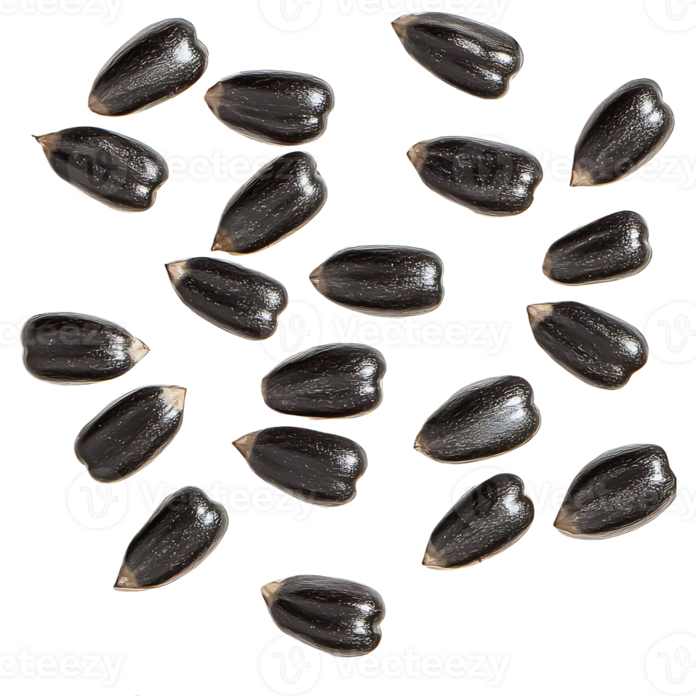 sunflower seeds on transparent background, isolated png