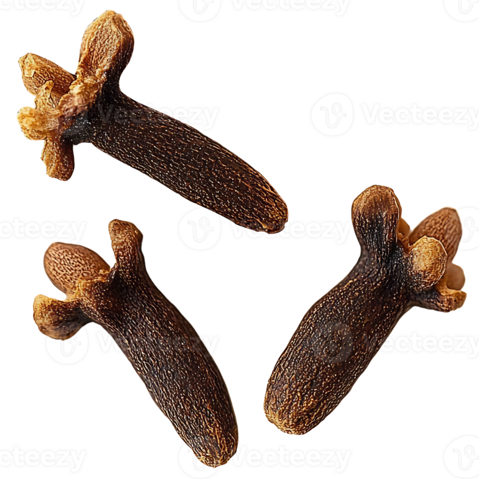 aromatic cloves on transparent background png