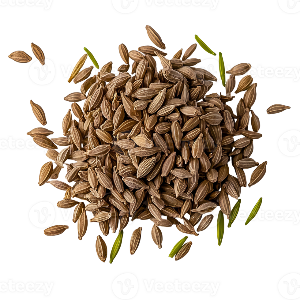 pile of caraway seeds on transparent background. png