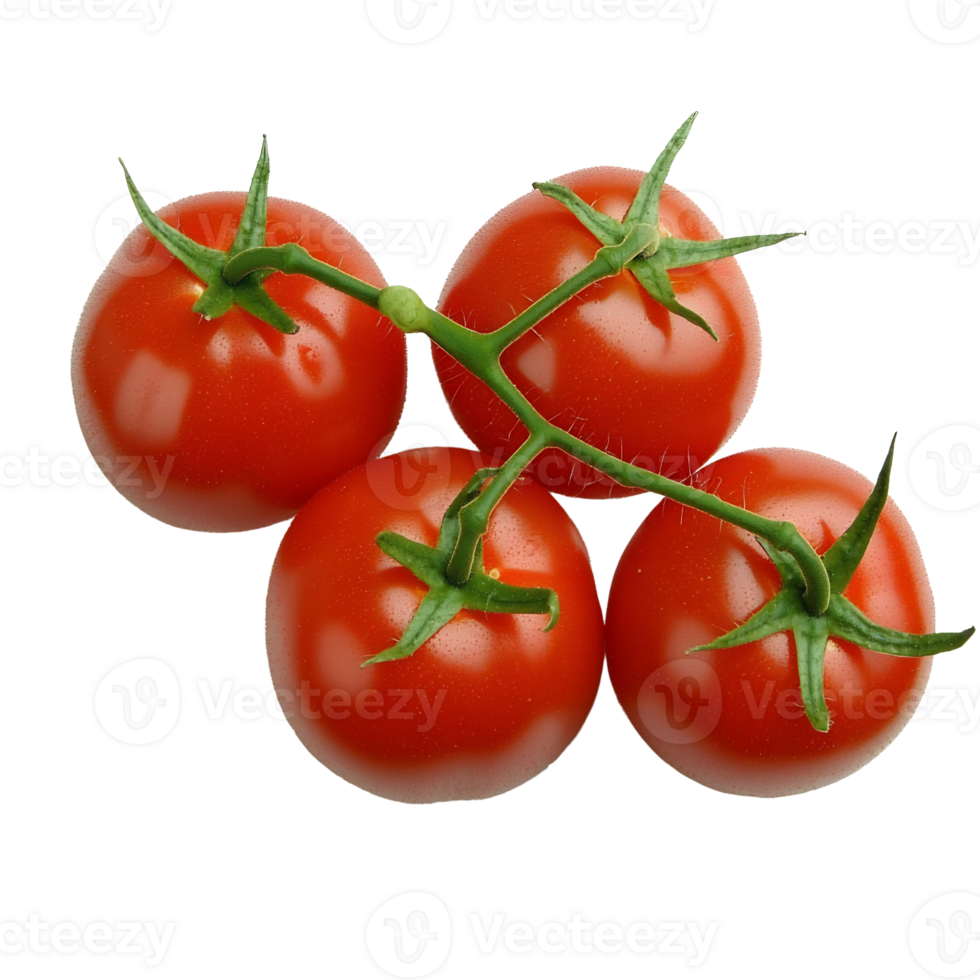 cherry tomatoes on the vine isolated on black. png