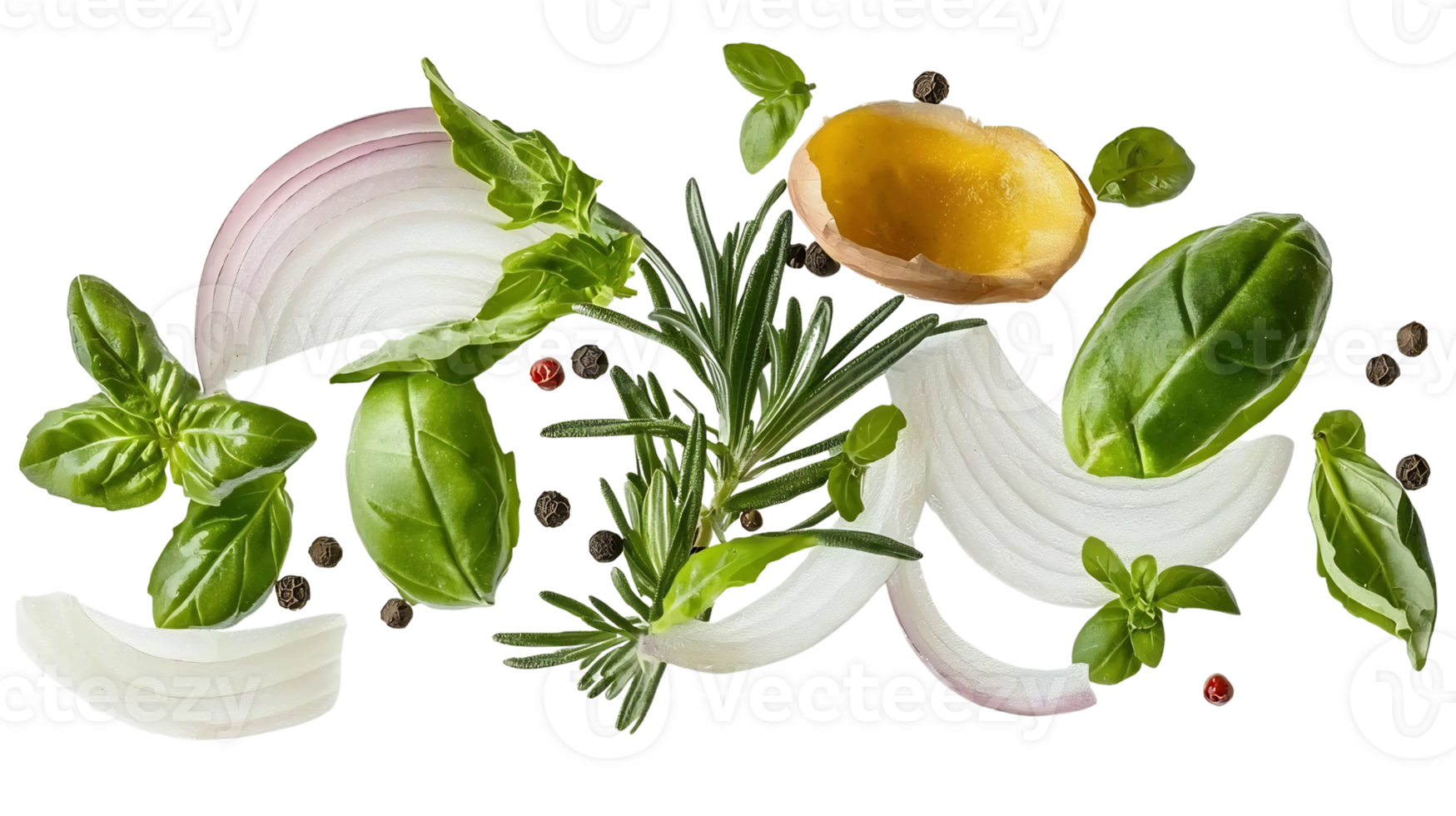 fresh herbs and spices still life on transparent background. png