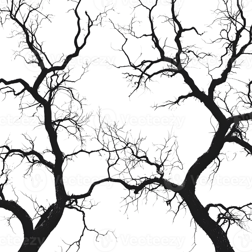 spooky trees silhouette on transparent background png