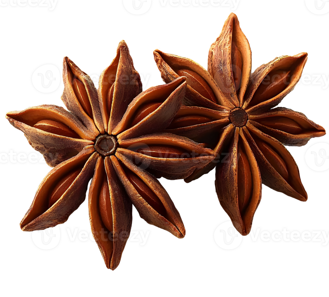 star anise pods isolated on transparent background. png
