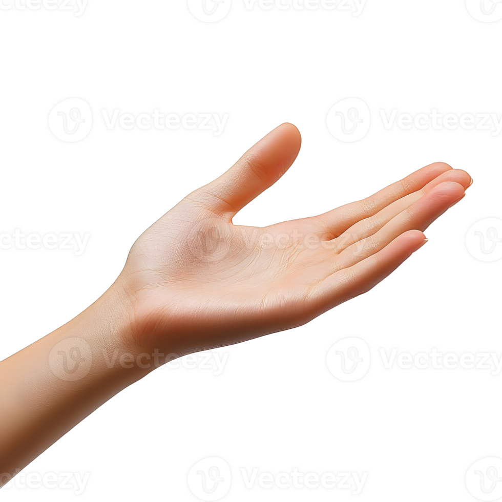 open hand offering on transparent background. png