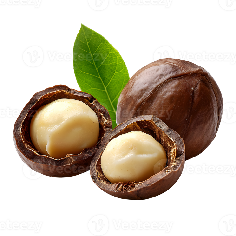 macadamia nuts with leaf, isolated on black png