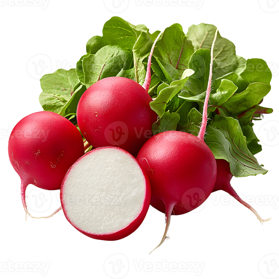 fresh radishes with green leaves on white background png