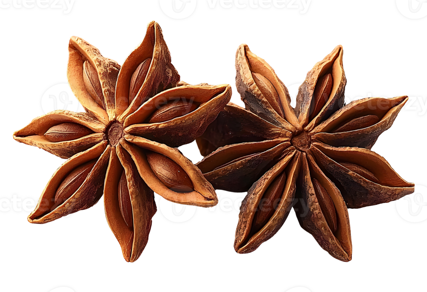 star anise on white background, aromatic spice. png