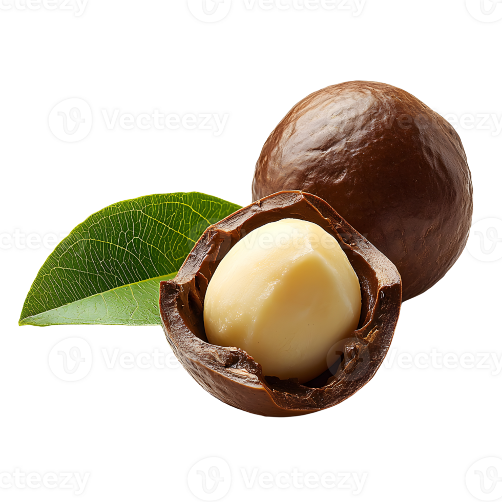 macadamia nuts, one shelled with a green leaf on black png