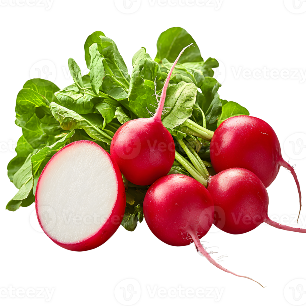 fresh radishes isolated on white background png
