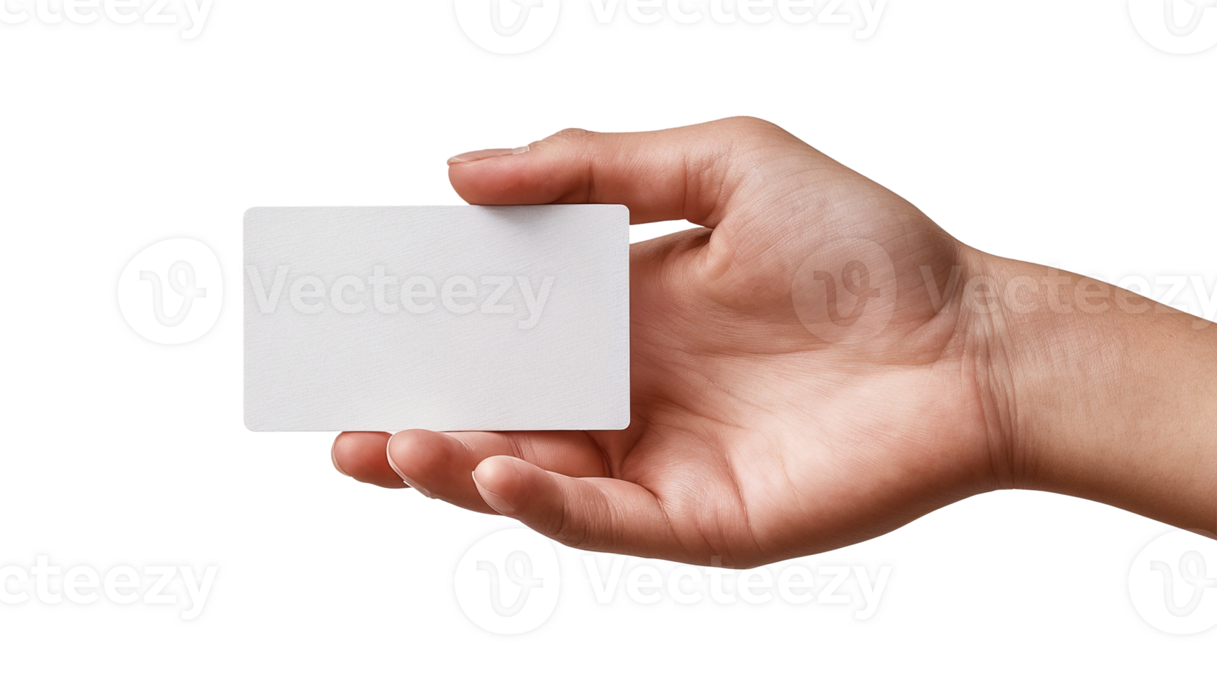 blank card held in hand on white background png