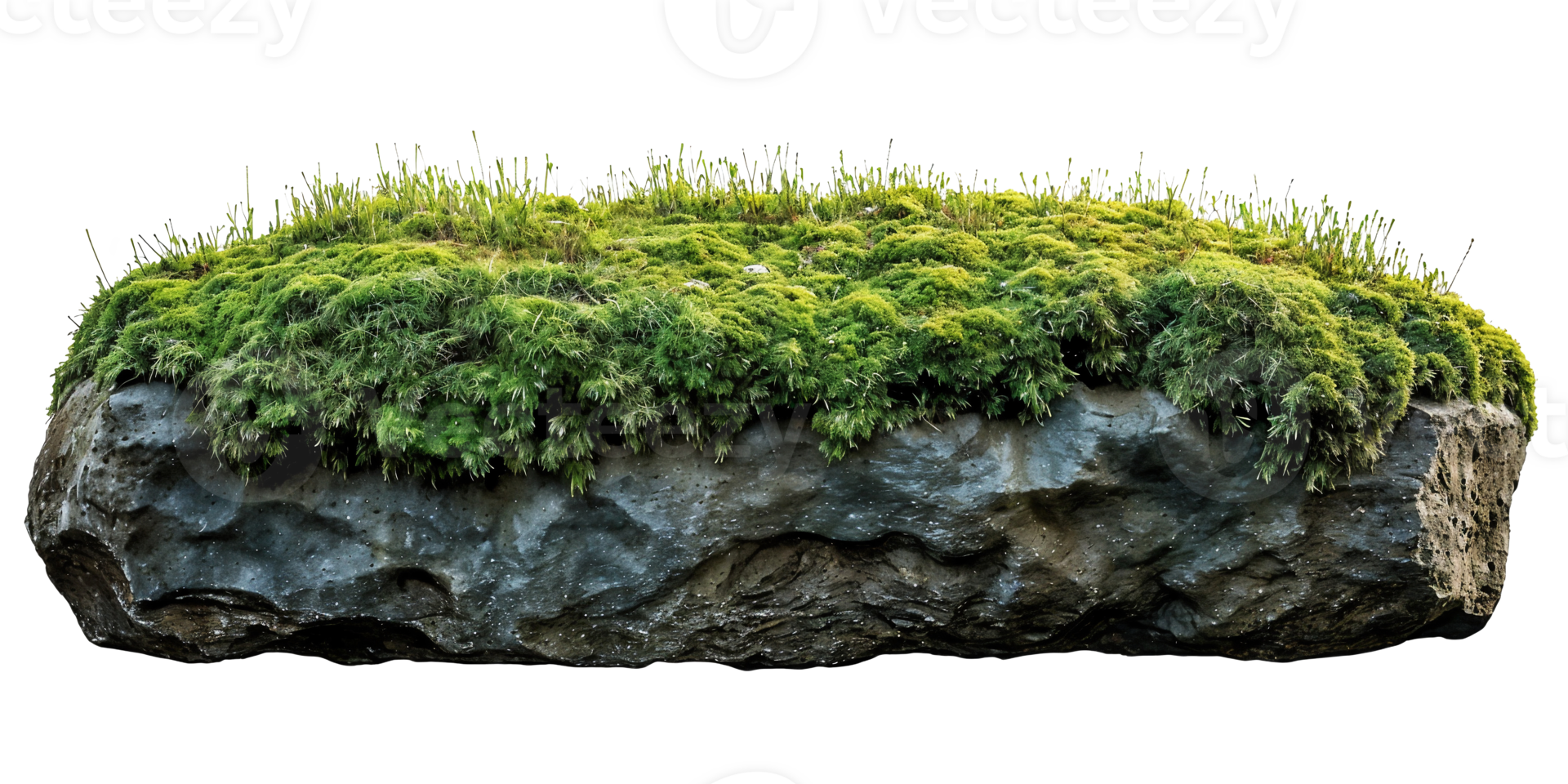 mossy rock isolated on white background png