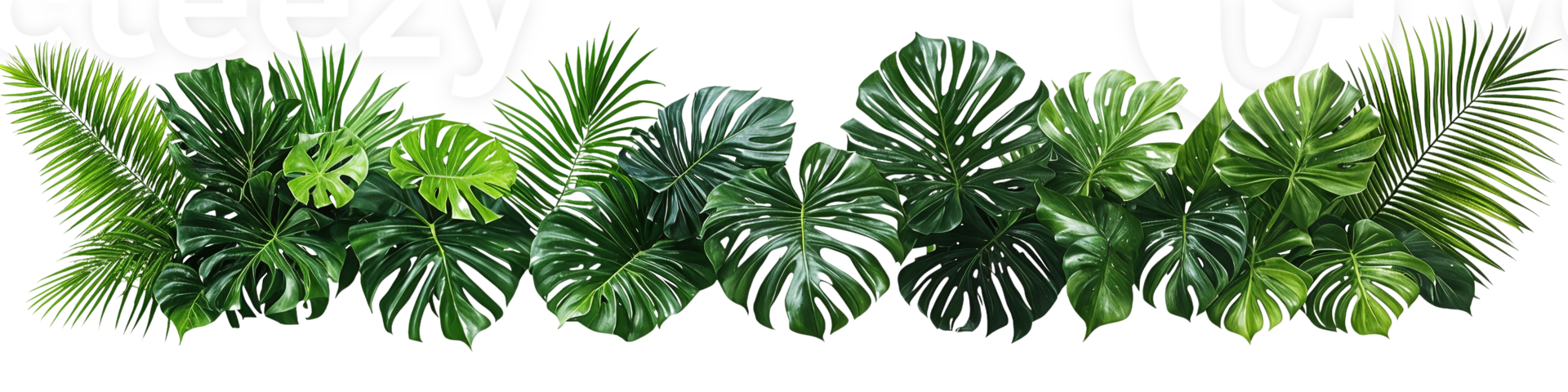 tropical leaves border isolated on white background png