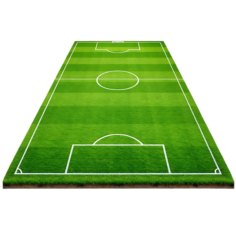 Overhead view of a soccer field. png